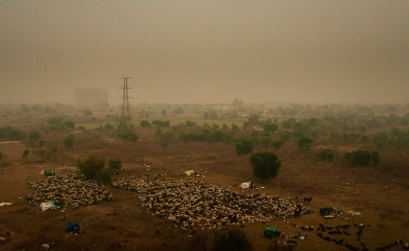 Photo of Rabari nomads camping in an open ground
